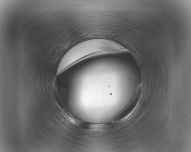 X0000056320192200508260901