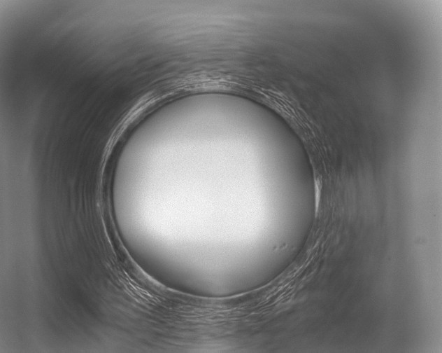 X0000056320195200508260900