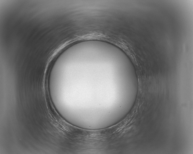 X0000056320196200508260900
