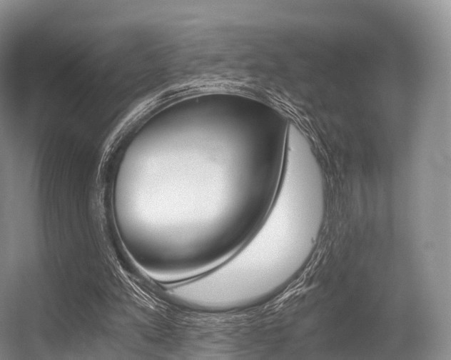 X0000056320197200508260900