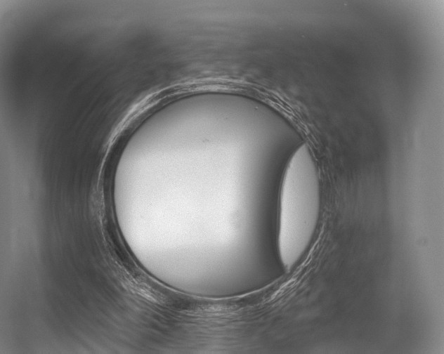 X0000056320198200508260900