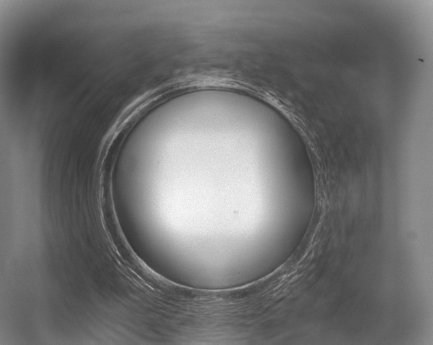 X0000056320199200508260900