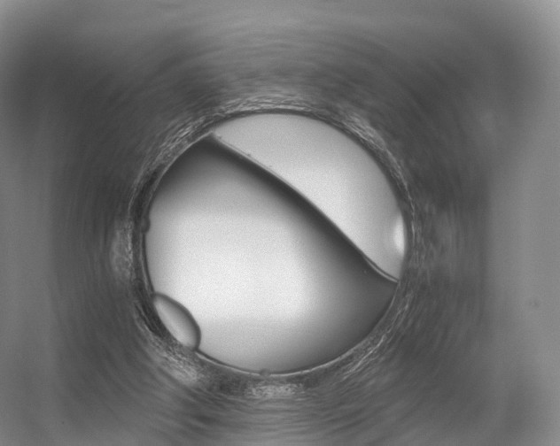 X0000056320202200508260900