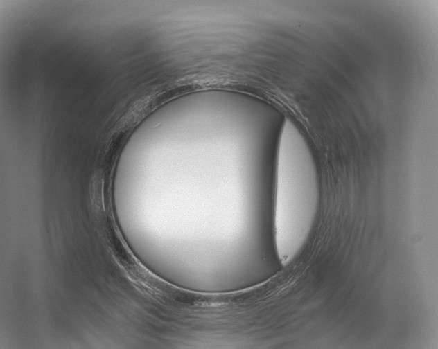 X0000056320205200508260900