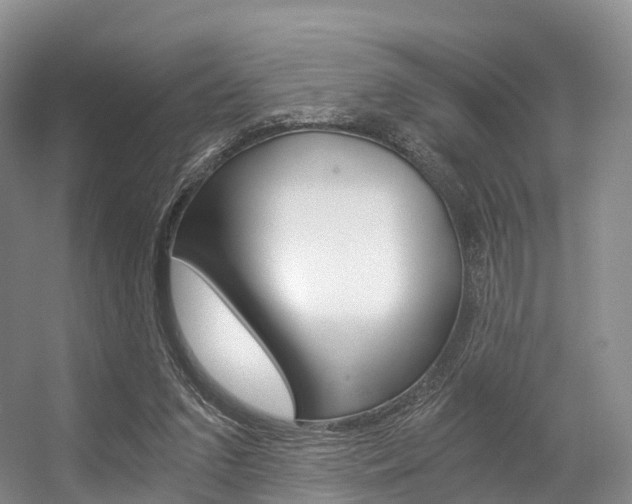 X0000056320207200508260859