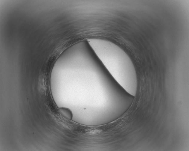 X0000056320210200508260859