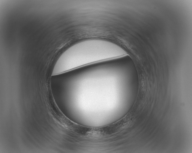 X0000056320211200508260859