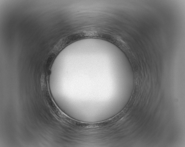 X0000056320213200508260859
