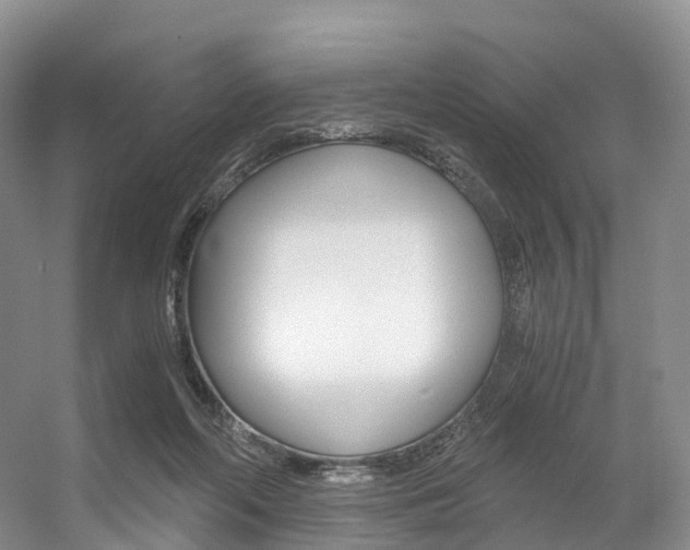 X0000056320214200508260859