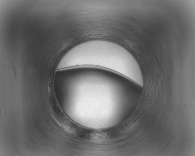 X0000056320215200508260859