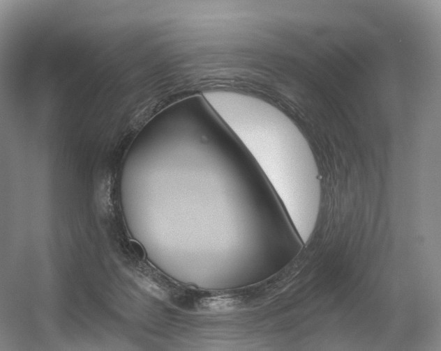 X0000056320219200508260859