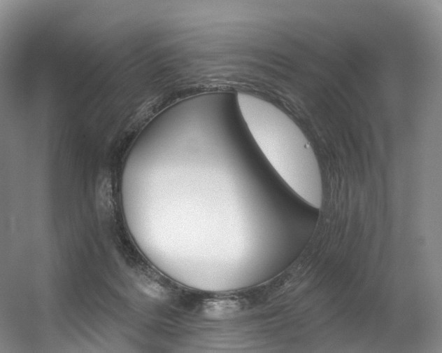 X0000056320220200508260859
