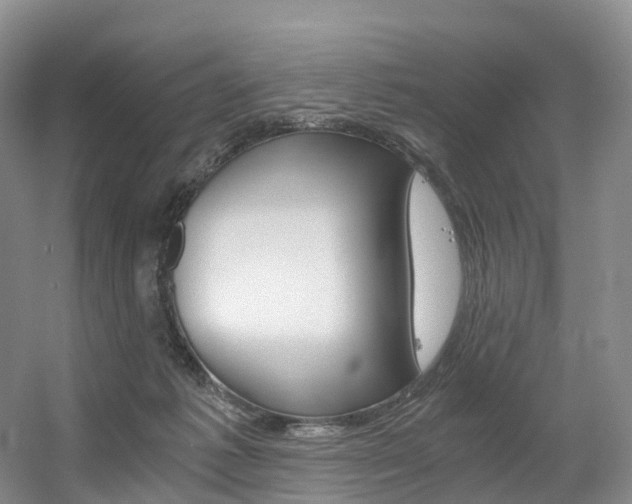 X0000056320221200508260859
