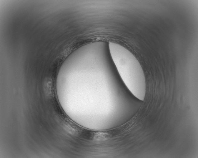X0000056320222200508260859