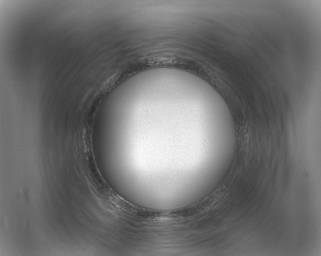 X0000056320224200508260859