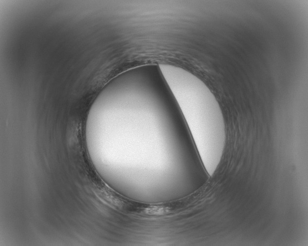X0000056320225200508260859