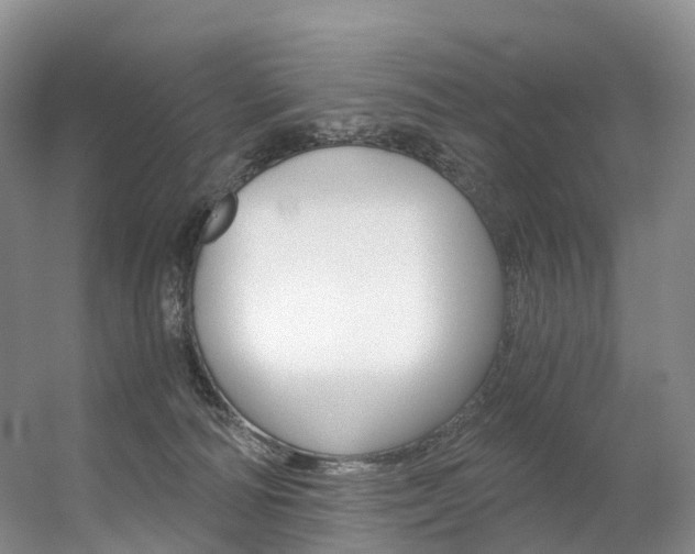 X0000056320226200508260859