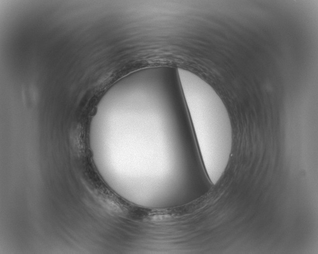 X0000056320228200508260859