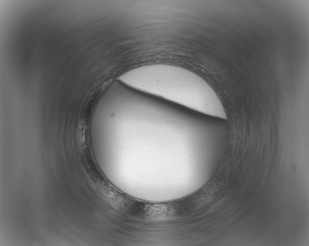 X0000056320230200508260859