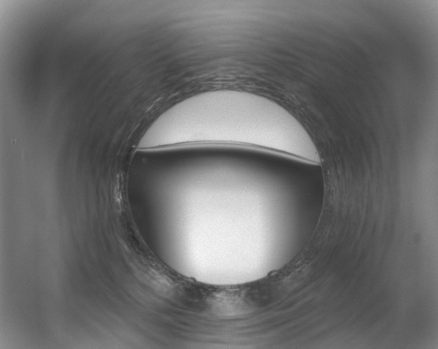 X0000056320232200508260859