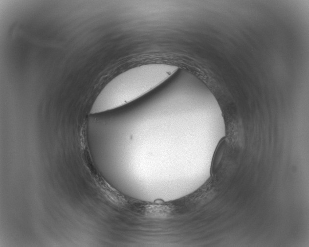 X0000056320234200508260859