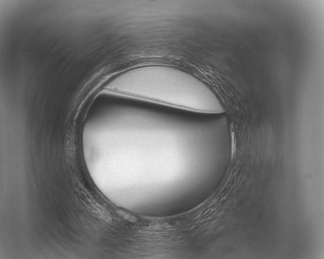 X0000056320243200508260858