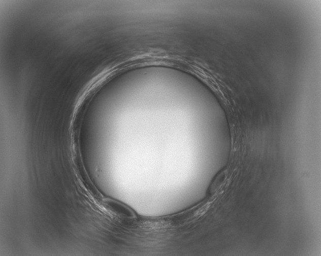 X0000056320245200508260858