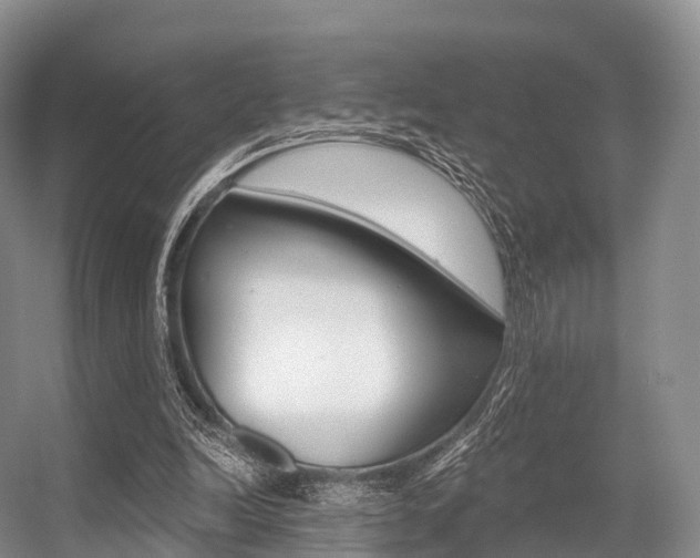 X0000056320246200508260858