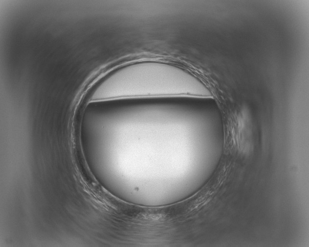 X0000056320247200508260858