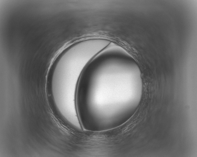 X0000056320248200508260858