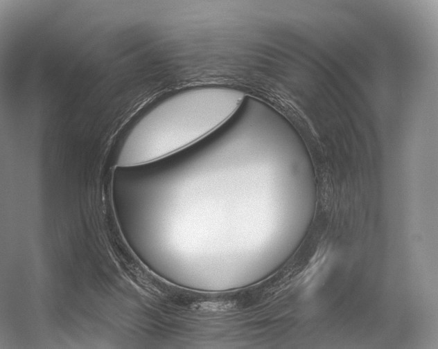 X0000056320251200508260858