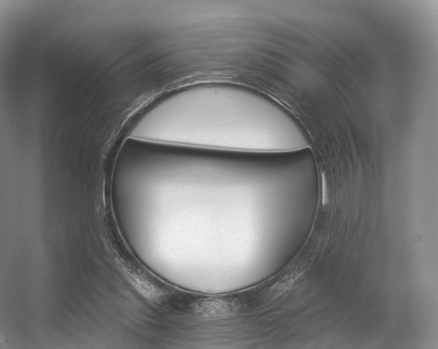X0000056320253200508260858