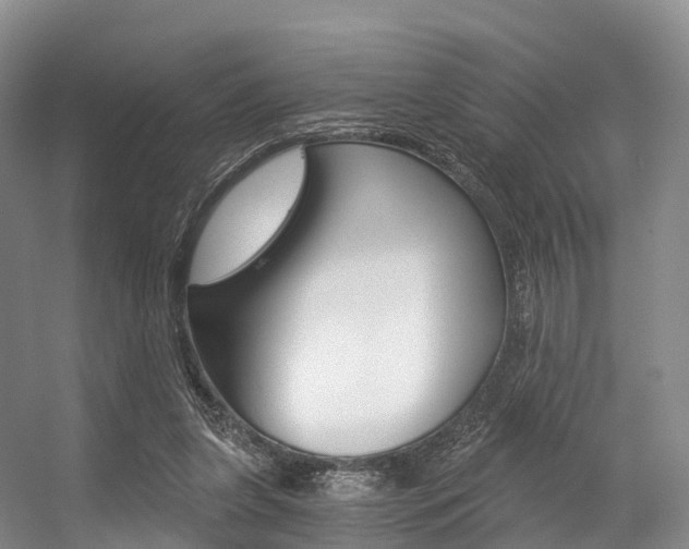X0000056320255200508260858