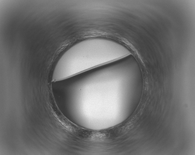 X0000056320257200508260858