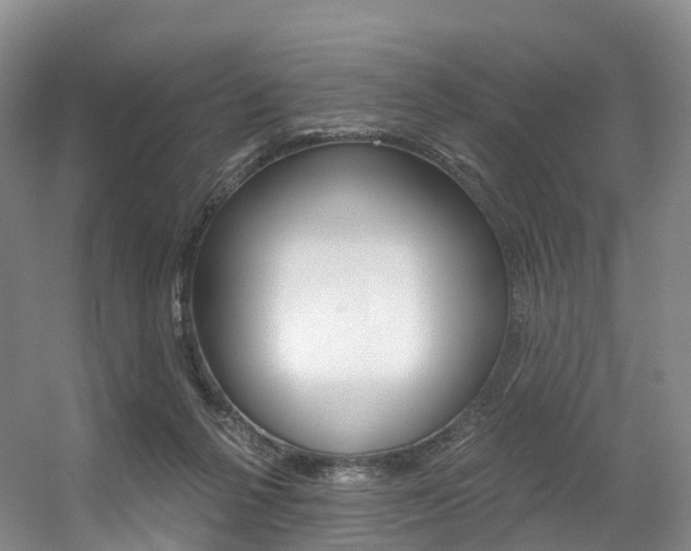 X0000056320264200508260859