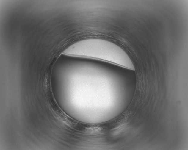 X0000056320266200508260859