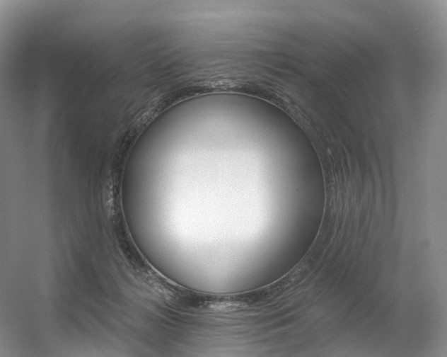 X0000056320268200508260859