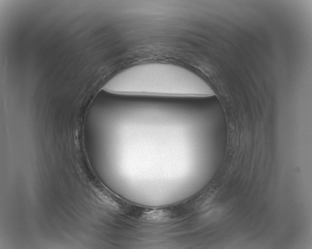X0000056320269200508260859