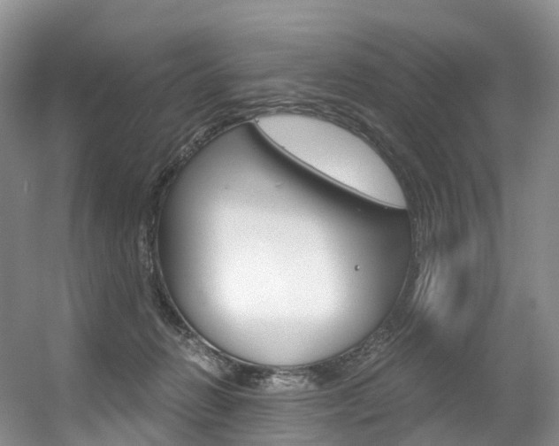 X0000056320270200508260859