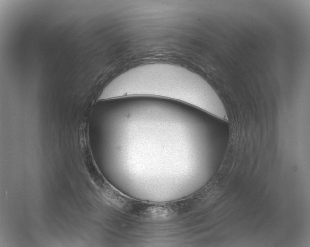 X0000056320272200508260859