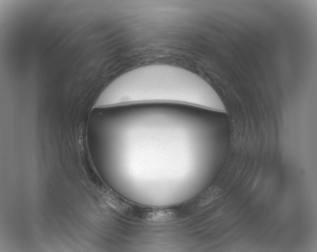 X0000056320274200508260859