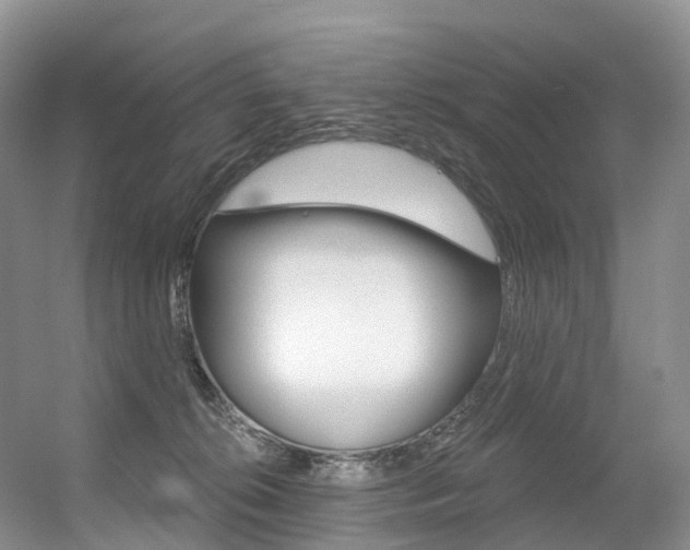 X0000056320276200508260859