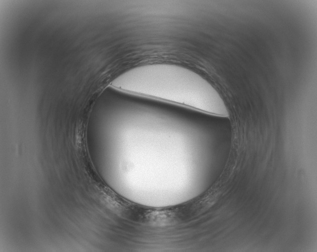 X0000056320277200508260859