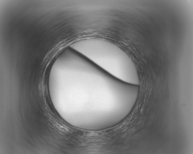 X0000056320290200508260858