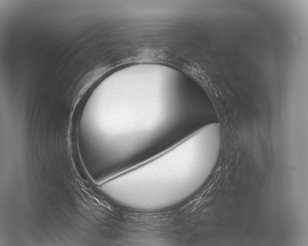 X0000056320292200508260858