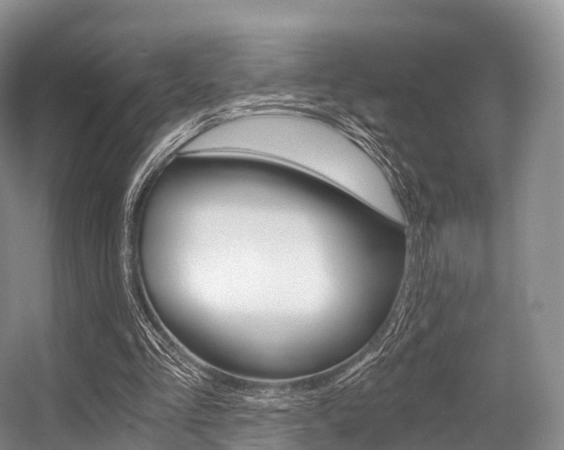 X0000056320293200508260858