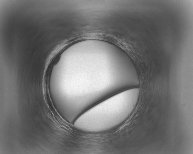 X0000056320294200508260858