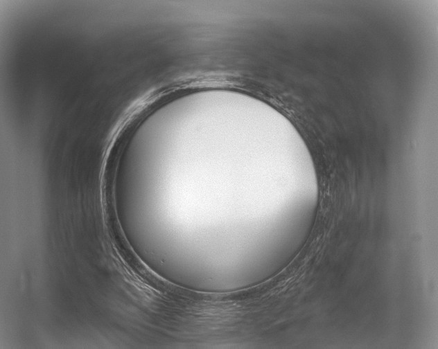 X0000056320296200508260858