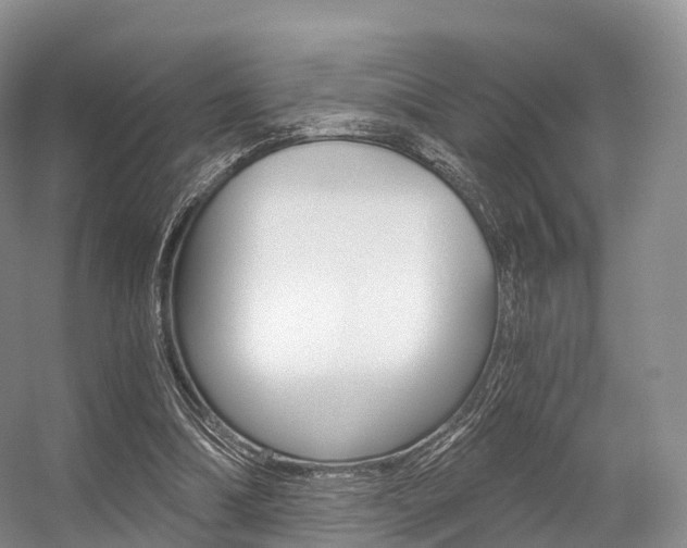 X0000056320298200508260858