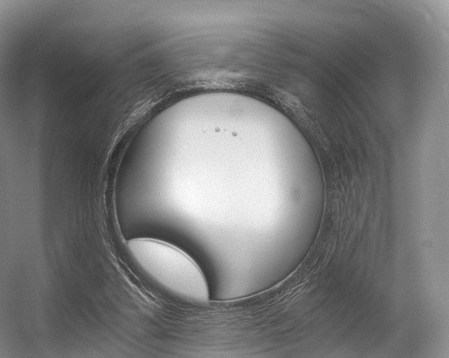 X0000056320299200508260858